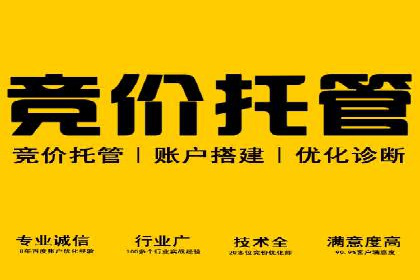 企业案例：SEM推广代运营成果展示